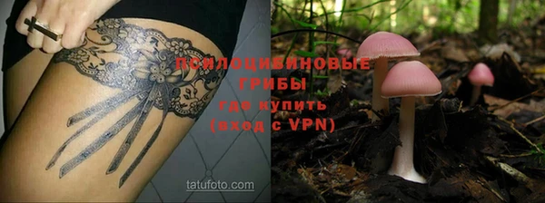 бошки Аркадак