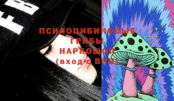 бошки Аркадак
