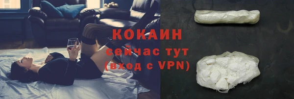 бошки Аркадак