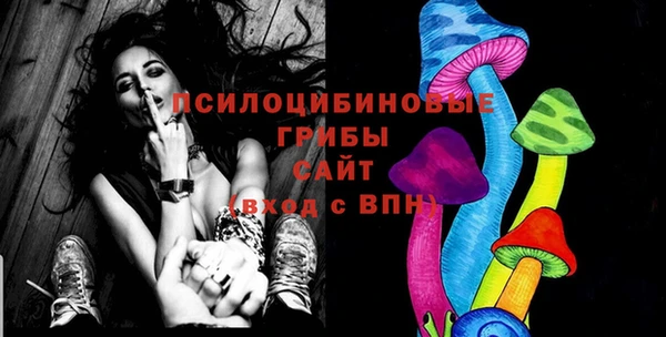 бошки Аркадак
