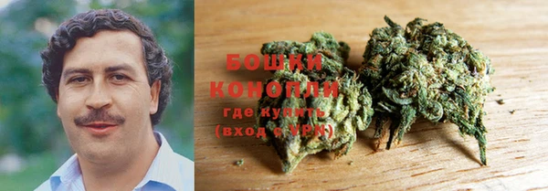 бошки Аркадак