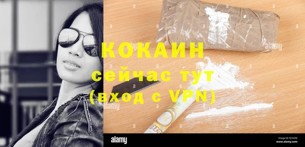 бошки Аркадак